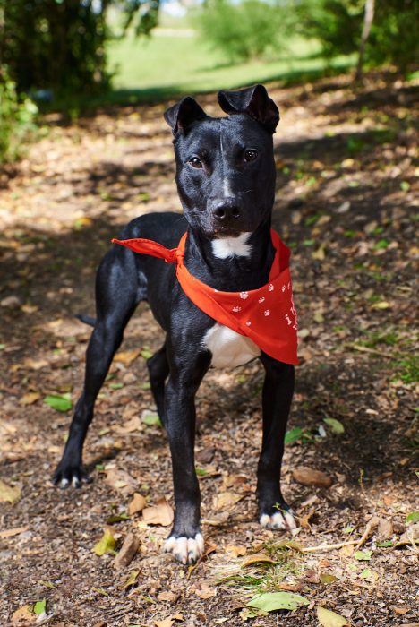 180417-hsnba_max_markie-p0015-mchasephoto-noleash