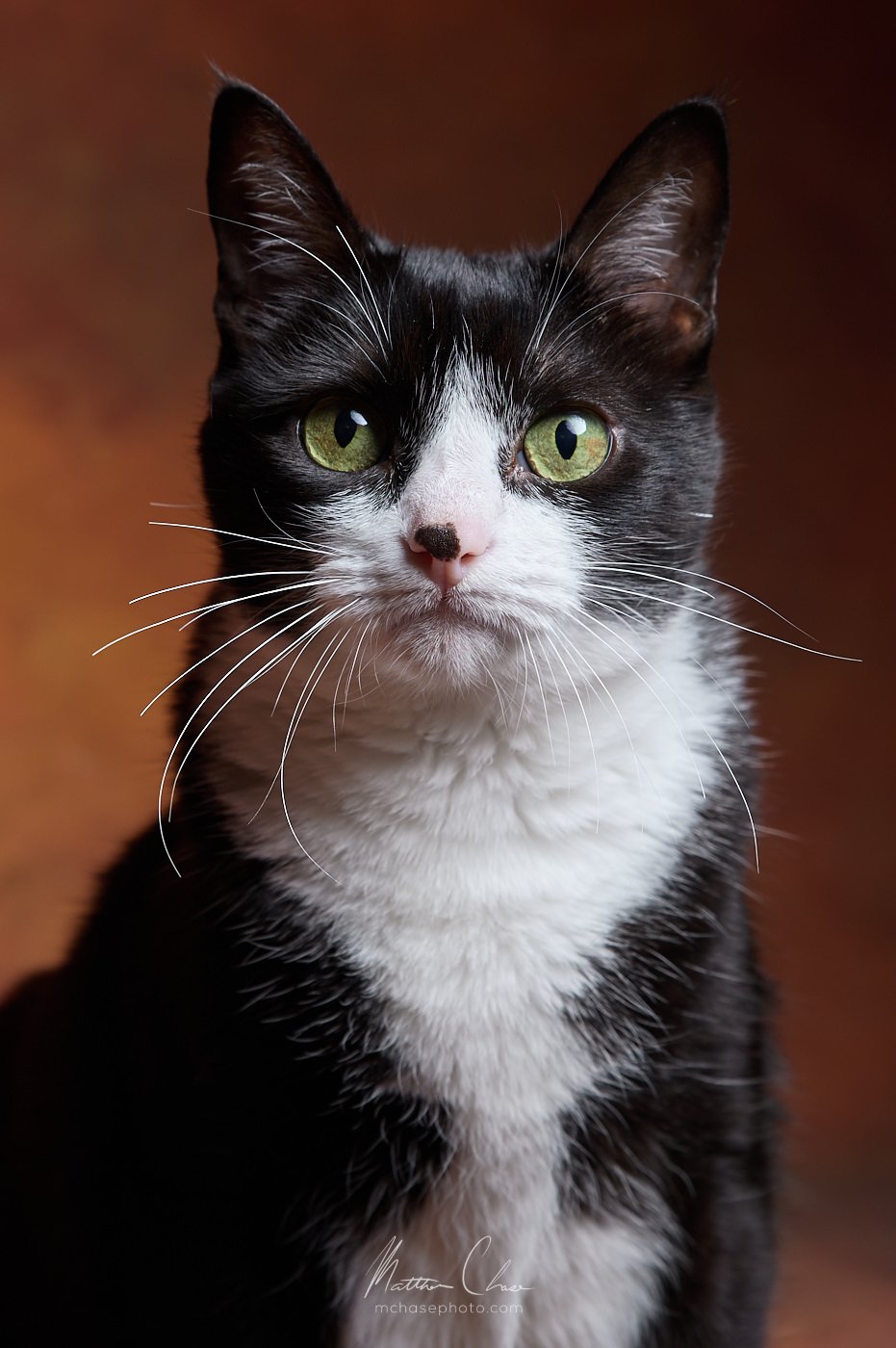 2021-04-25_Pepper_Red-lr